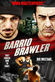 American Brawler 2013 720p Hindi Eng Movie